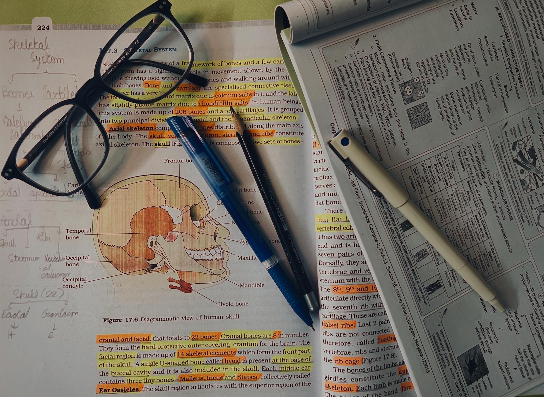 Spaced Repetition Schedules: Setting Up Anki or a Manual System for Smarter Revision