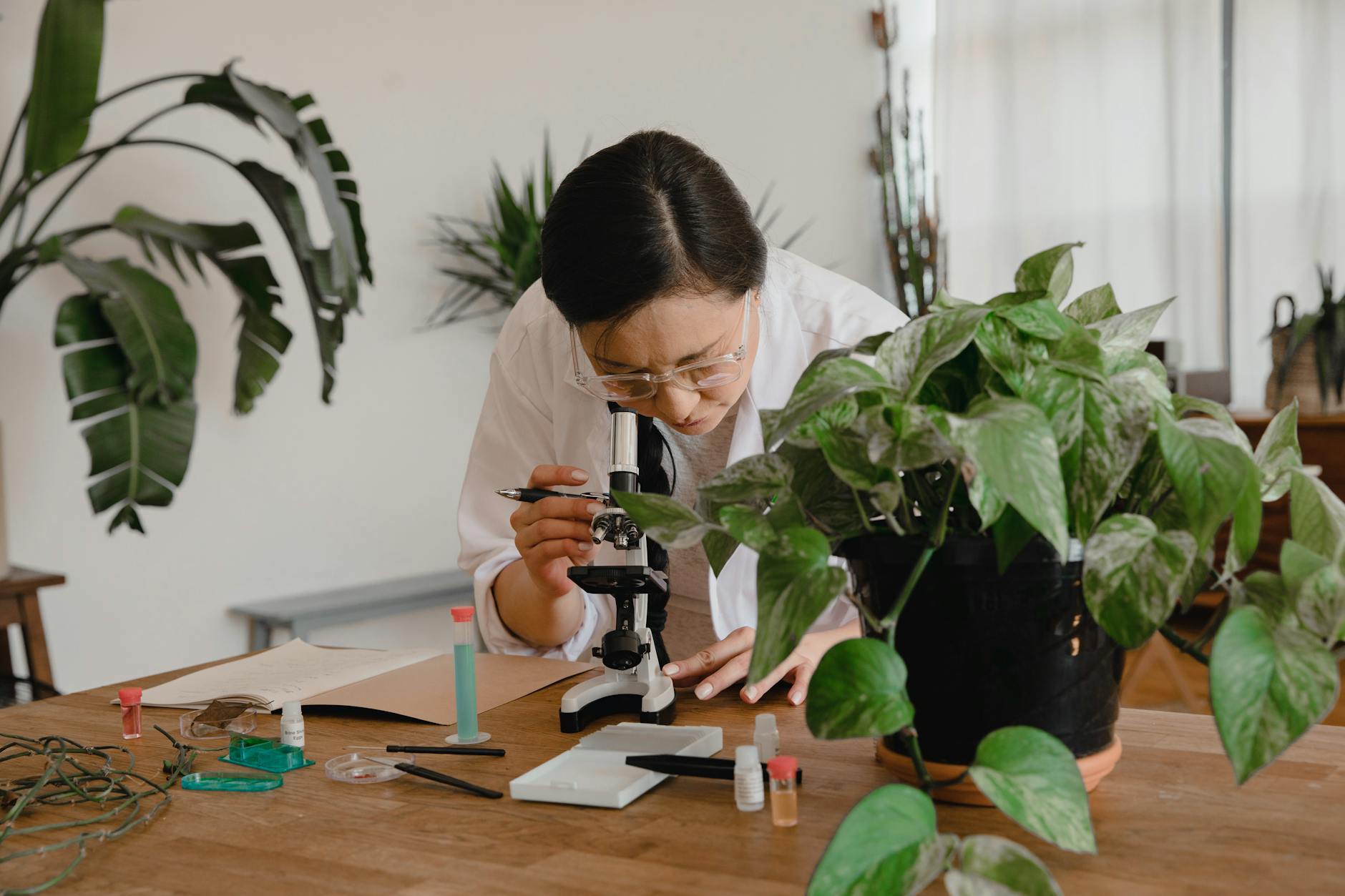 Plant Physiology for NEET: Photosynthesis and Respiration Side-by-Side