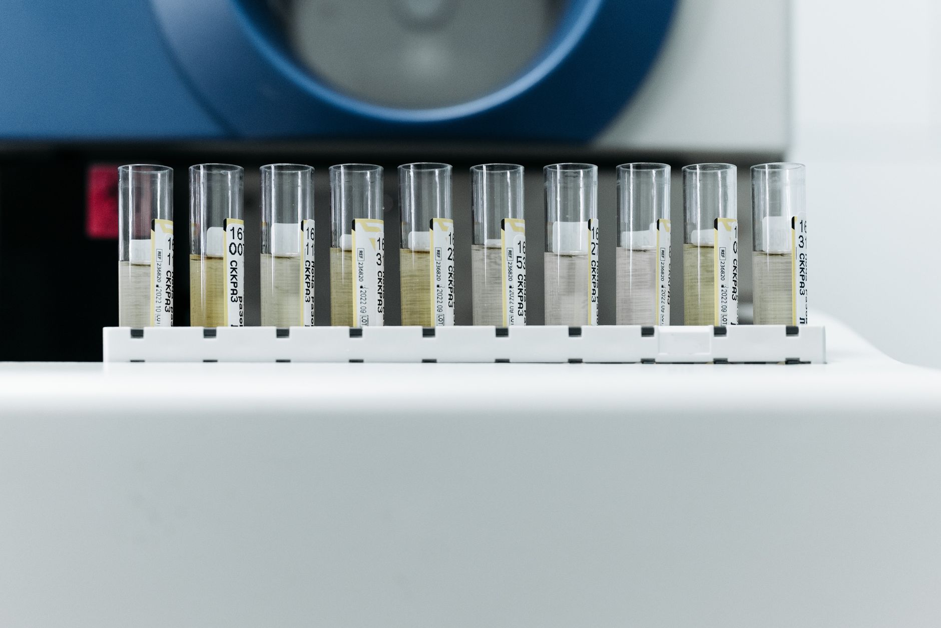 test tubes with labels on a rack