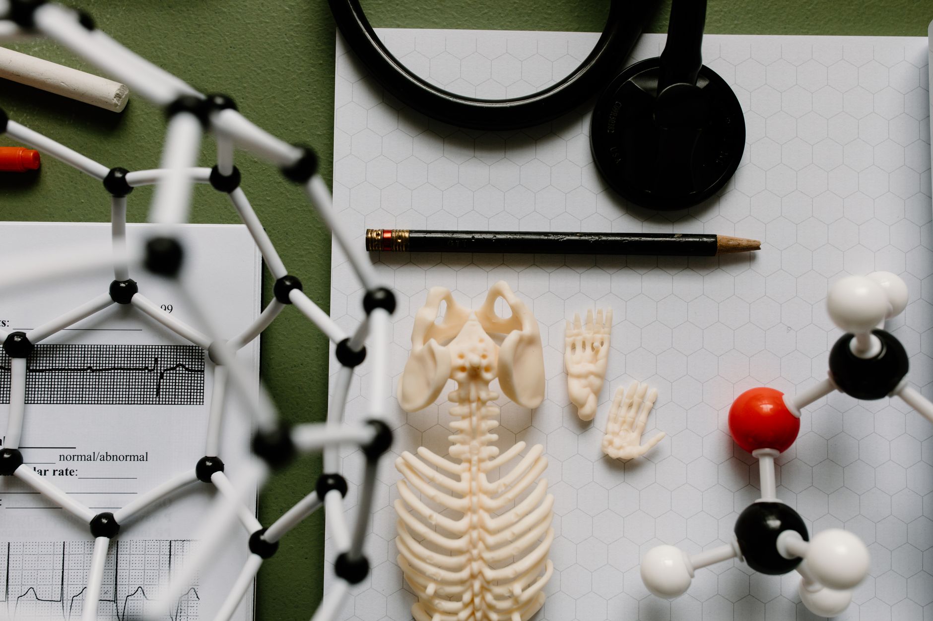 Human Physiology Part 2: Breathing and Gas Exchange — High-Yield NEET Points